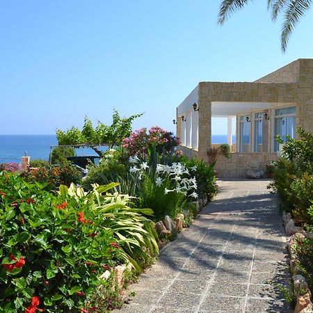 Aphrodite Beach Hotel Polis エクステリア 写真