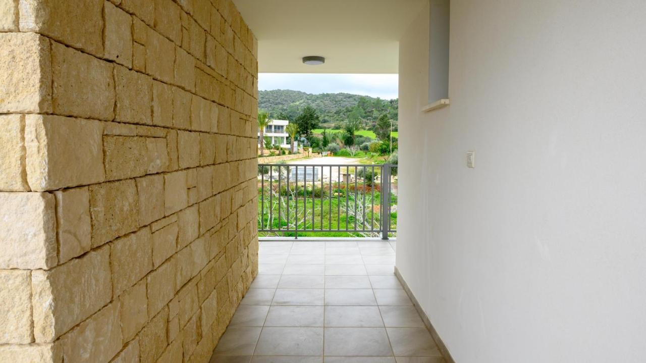 Aphrodite Beach Hotel Polis エクステリア 写真