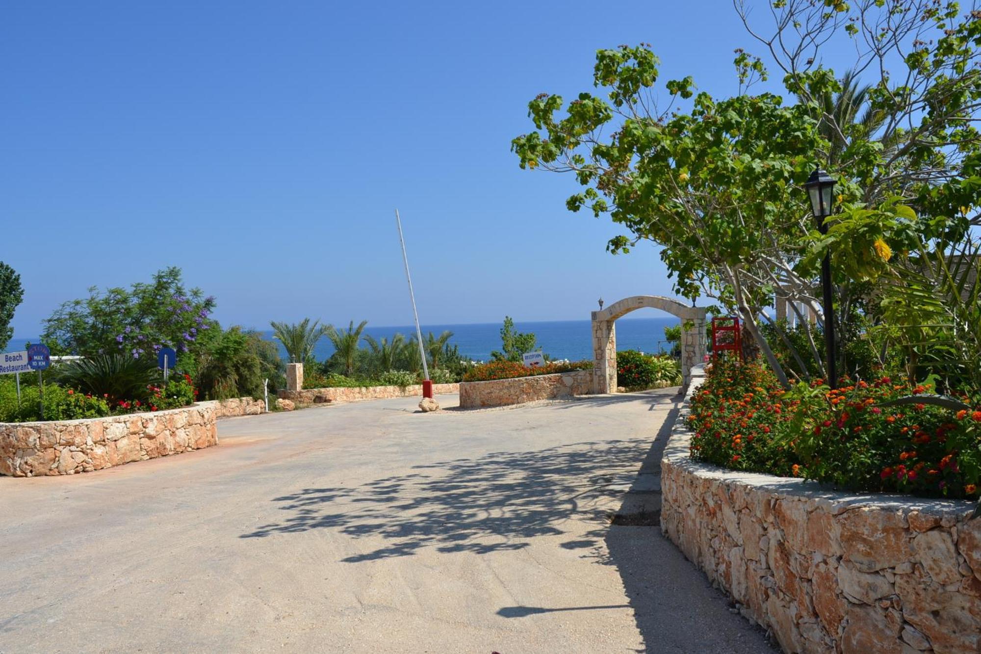 Aphrodite Beach Hotel Polis エクステリア 写真