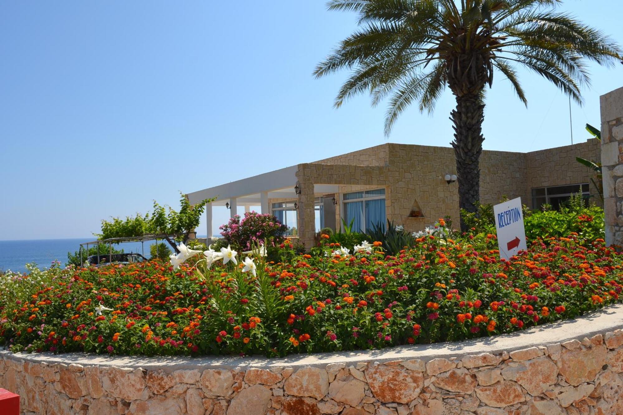 Aphrodite Beach Hotel Polis エクステリア 写真