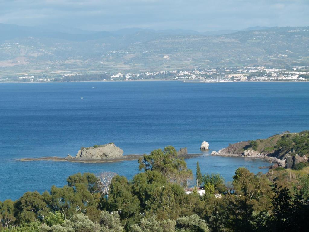 Aphrodite Beach Hotel Polis エクステリア 写真