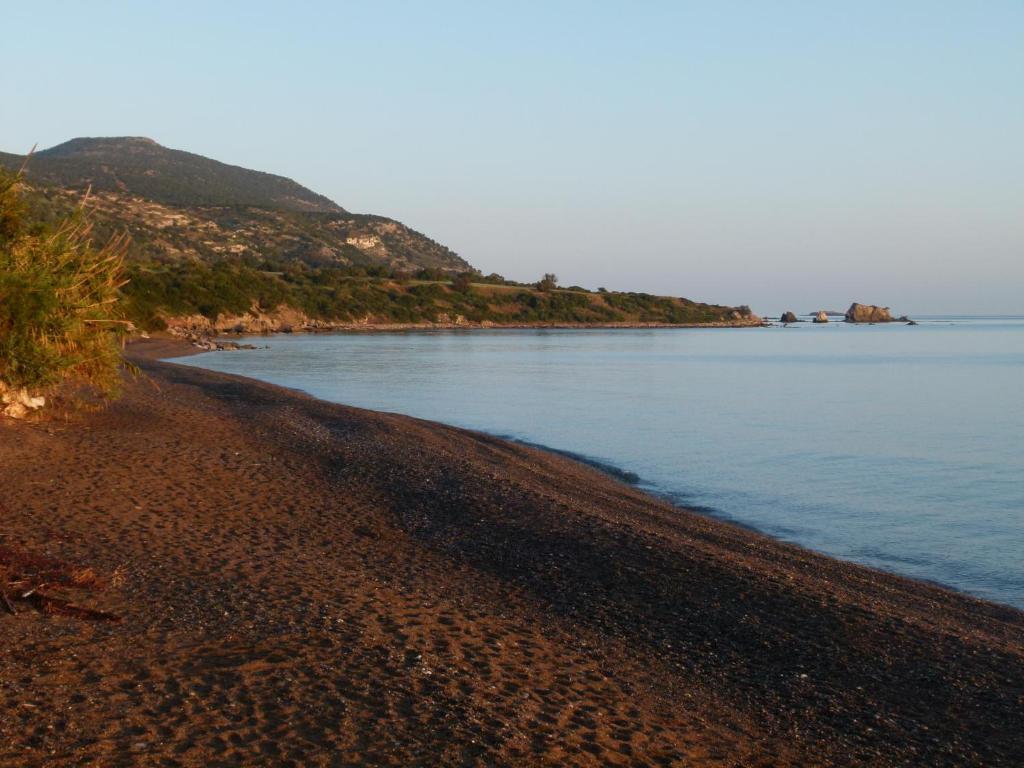 Aphrodite Beach Hotel Polis エクステリア 写真