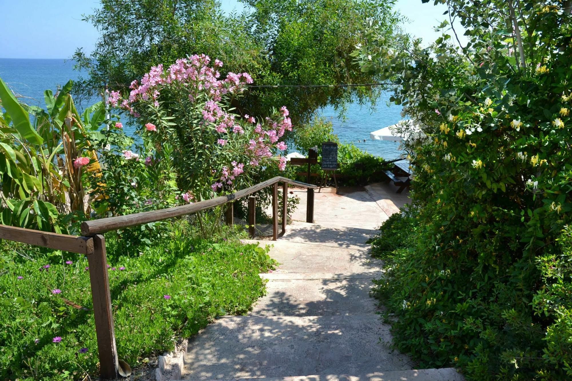 Aphrodite Beach Hotel Polis エクステリア 写真